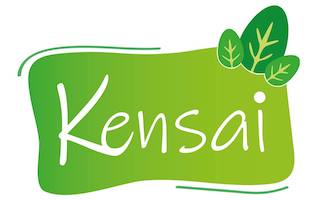 Logo da Kensai, cliente da UniVirtua em marketing digital para empreendedores